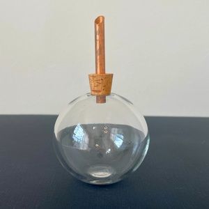 Beautiful, Unique and Delicate Glasilium Bud Vase Propagation Globe
